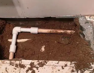 明溪测漏水哪家好