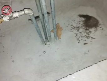 明溪卫生间测漏水价格明细