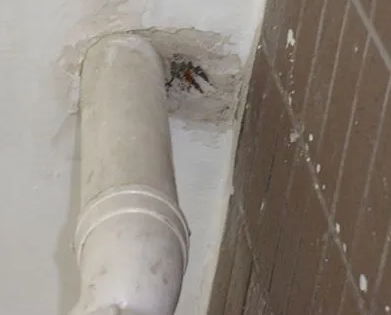 明溪漏水检测哪家好